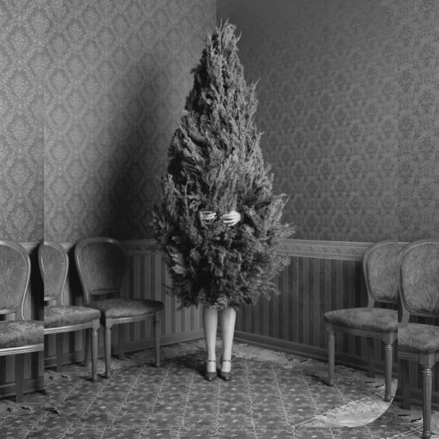 Happy X-mas and happy new year!